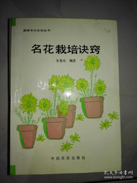 孔夫子舊書(shū)網(wǎng)的西域之夢(mèng) 文化傳播中的數(shù)據(jù)守望與美學(xué)思考